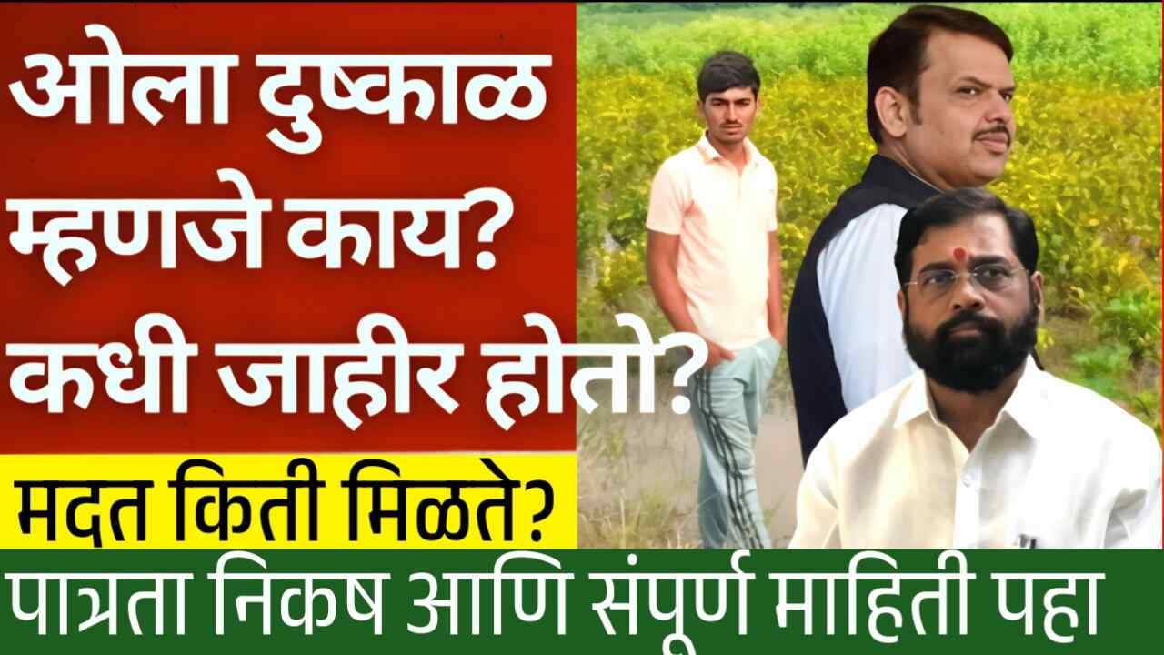 ओला दुष्काळ जाहीर झाल्यास हेक्टरी किती मदत मिळेल? थेट यादी चेक करा Ola Dushkal Maharashtra